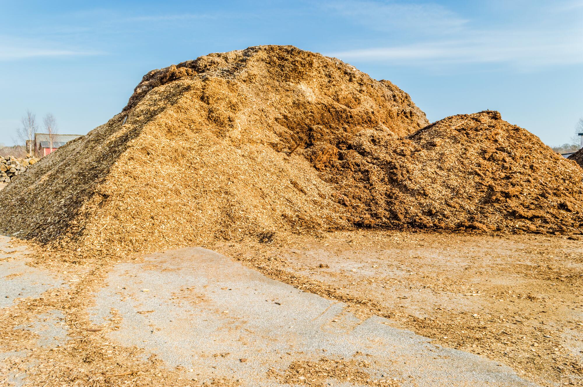 kl_mango_active-ingredient_stock_website_active-page -1-